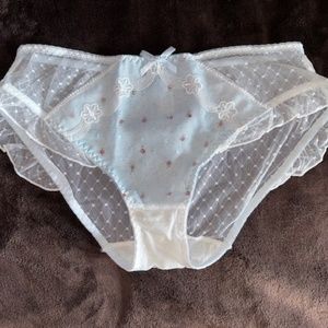 Light Blue Lolita fine mesh lace Panties
